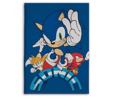 Manta polar Sonic the Hedgehog