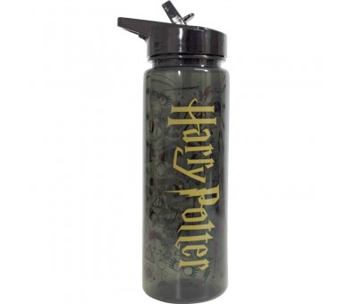 Botella Logo Harry Potter 750ml
