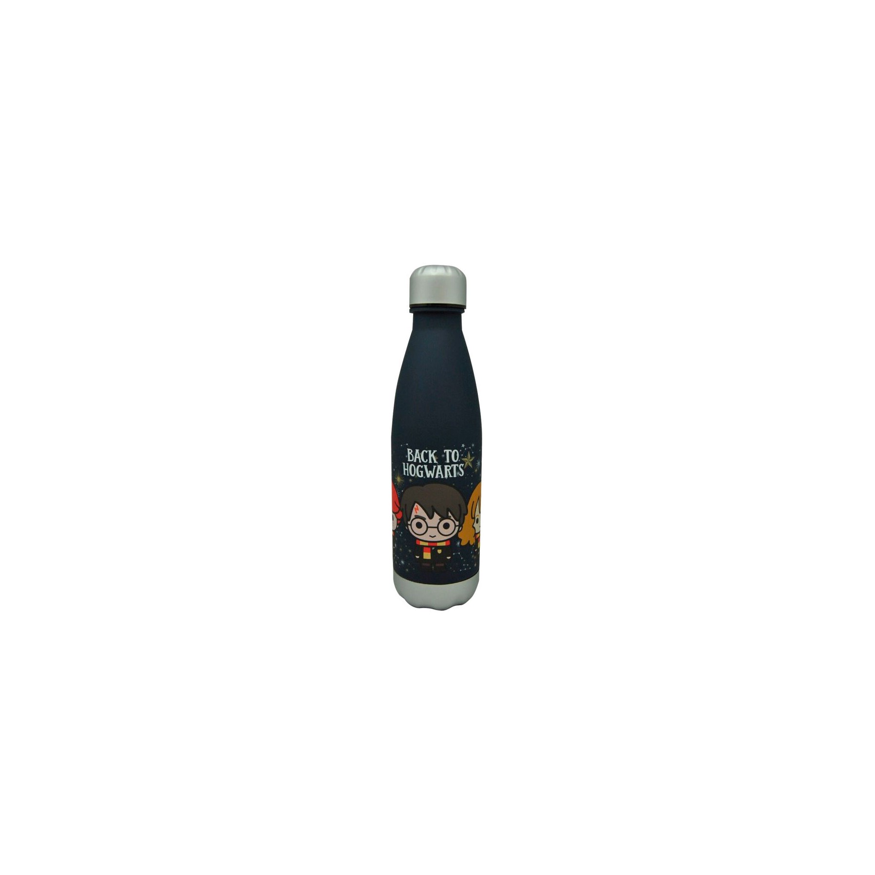 Botella Back to Hogwarts Harry Potter 650ml