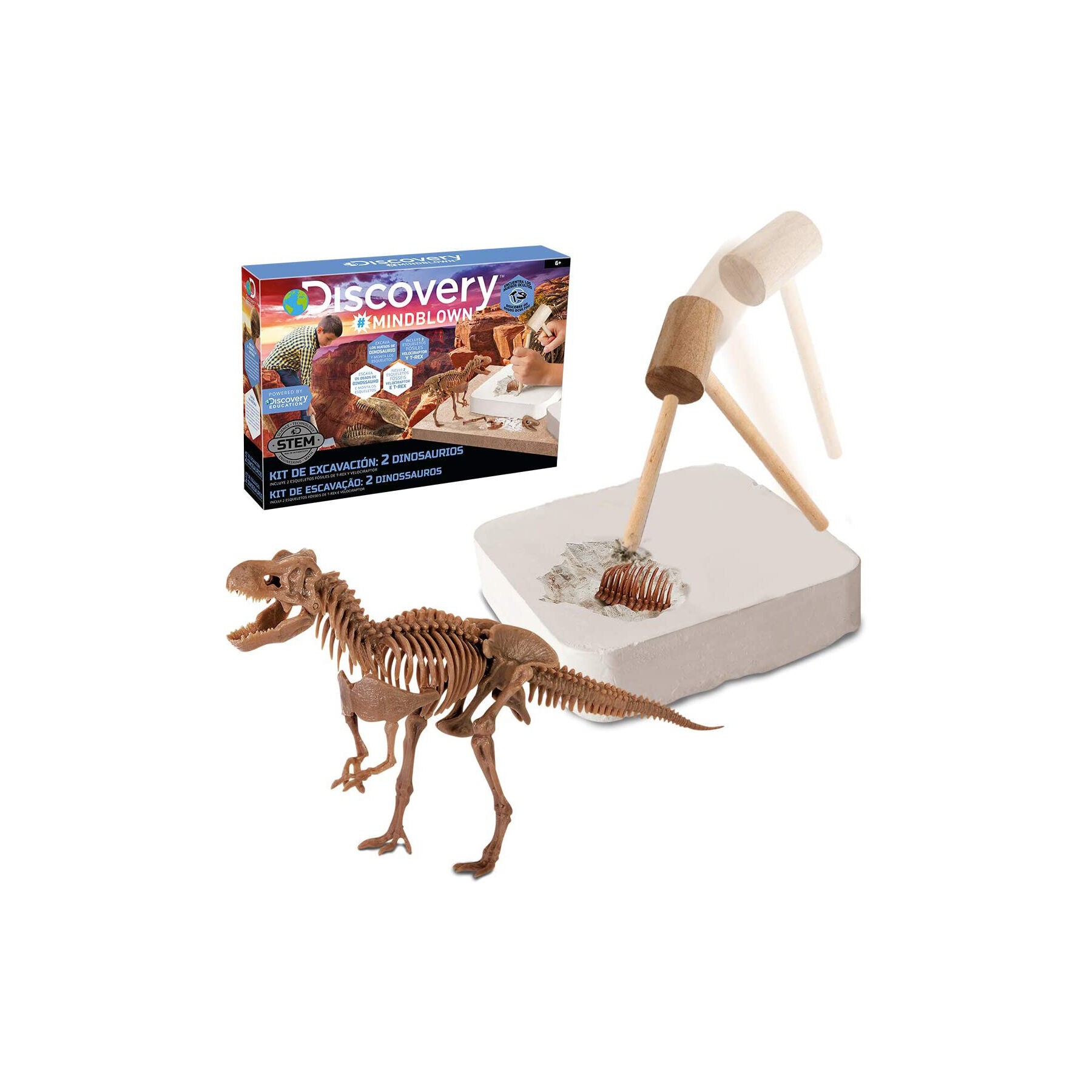 Kit de Excavacion Dinosaurios