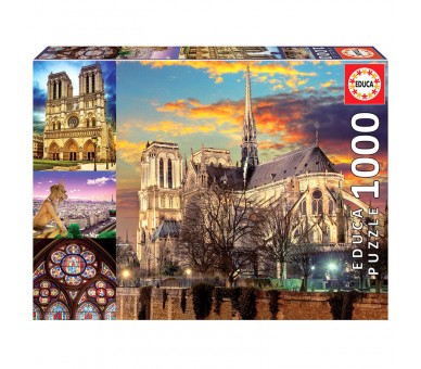 Puzzle Collage de Notre Dame 1000pzs