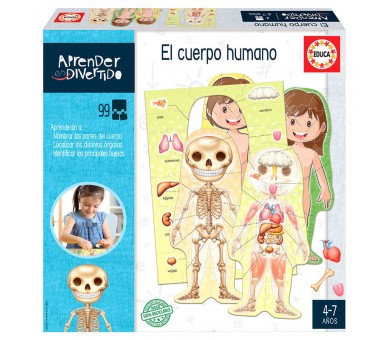Spanish El Cuepro Humano español