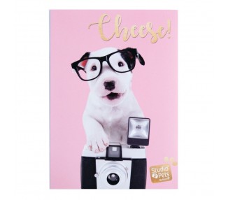 Album de Fotos Perro Charlie