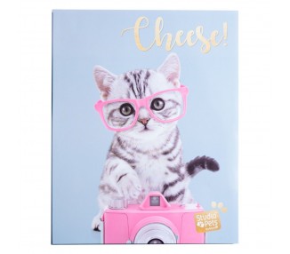 Album de Fotos Gato Tabby