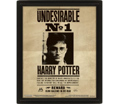 Poster 3D lenticular Harry Potter y Sirius Black Harry Potter