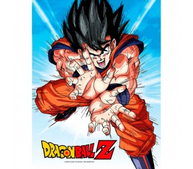 Poster cristal Goku Kame Dragon Ball Z