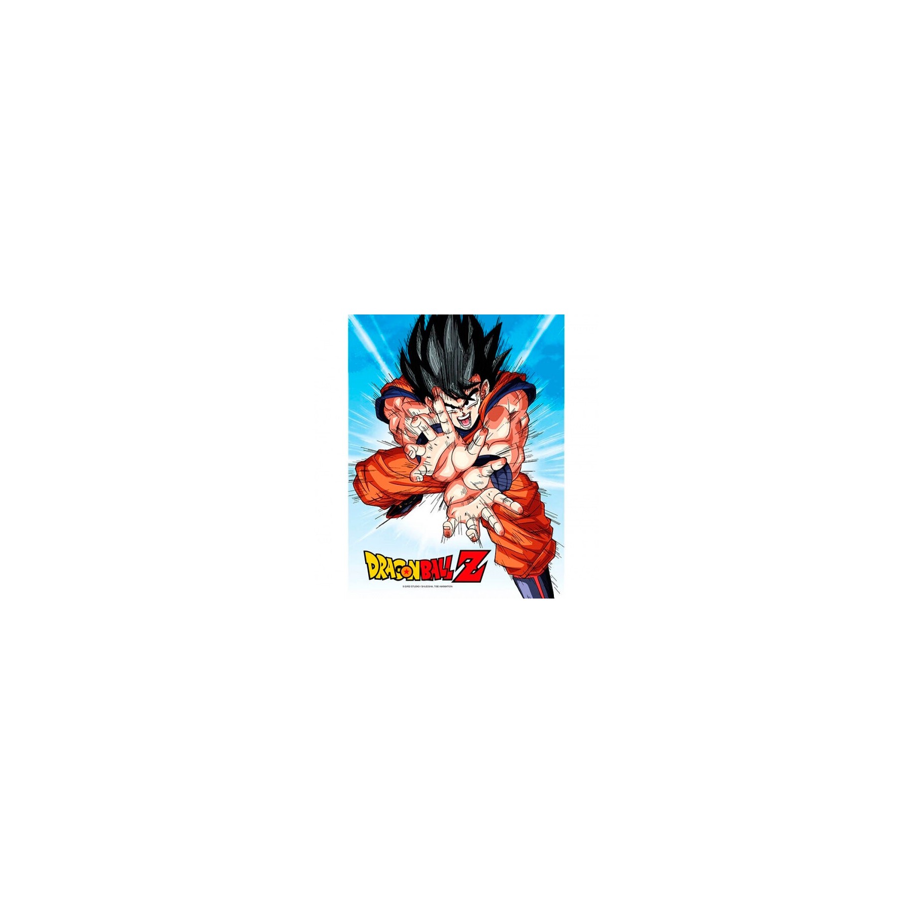 Poster cristal Goku Kame Dragon Ball Z