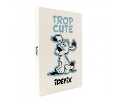 Cuaderno A5 premium Ideafix - Asterix y Obelix