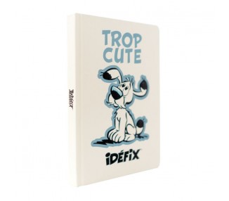 Cuaderno A5 premium Ideafix - Asterix y Obelix