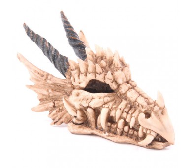 Hucha Calavera Dragon