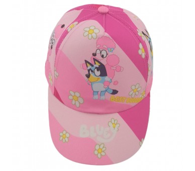 Gorra Bluey full print