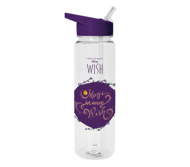 Cantimplora Wish Disney 700ml