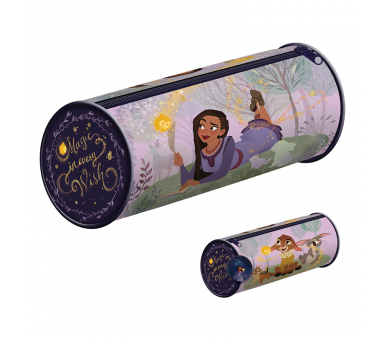 Portatodo Wish Disney