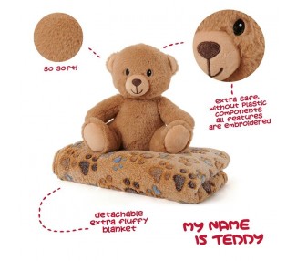 Peluche + manta suave Oso Teddy 22cm