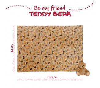 Peluche + manta suave Oso Teddy 22cm