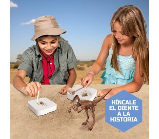 Kit de Excavacion Dinosaurios