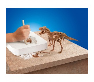 Kit de Excavacion Dinosaurios