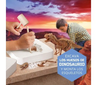 Kit de Excavacion Dinosaurios