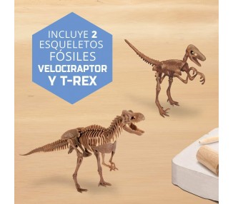 Kit de Excavacion Dinosaurios
