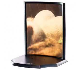 Estatua Raptor Egg Jurassic Park 12cm