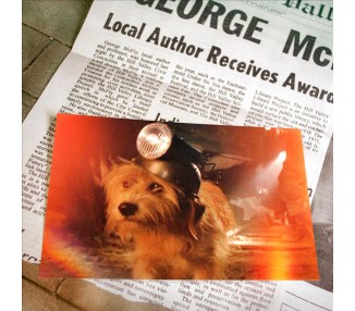 Kit Time Travel Memories II Expansion Regreso al futuro