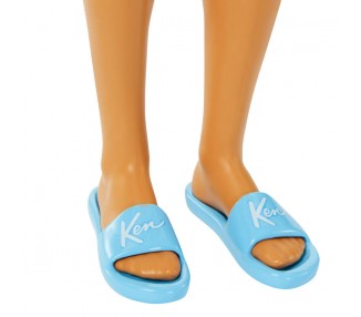 Muñeco Ken Dia en la Playa Barbie