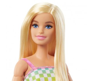 Muñeca Fashionista con Silla de Ruedas Barbie
