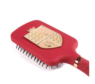 Cepillo pelo Harry Potter