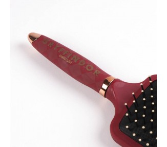 Cepillo pelo Harry Potter