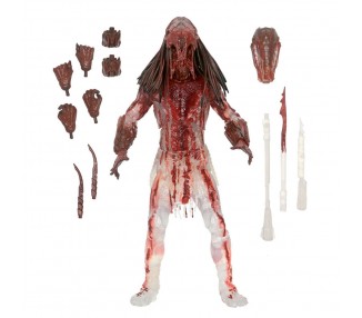 Figura Ultimate Bear Blood Feral Predator Prey 18cm