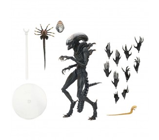 Figura Ultimate Scorched Xnomorph Alien Romulus 23cm