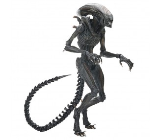 Figura Ultimate Scorched Xnomorph Alien Romulus 23cm