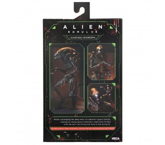 Figura Ultimate Scorched Xnomorph Alien Romulus 23cm