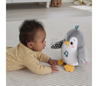 Pingüino Anda y Aletea