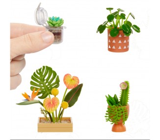 Blister Miniverse Botanicals Deluxe