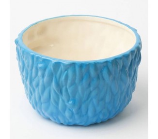 Bowl 3D Monstruo de las Galletas Barrio Sesamo