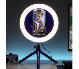 Vinilo pared Wish Disney