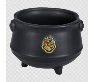 Set de chopsticks y Bowl Ramen Caldero Magico Harry Potter