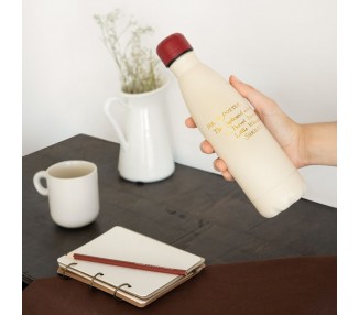 Botella acero inoxidable Hedwig Harry Potter 500ml