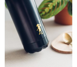 Botella acero inoxidable Dobby Harry Potter 500ml
