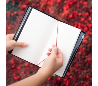 Cuaderno de viaje Stranger Things