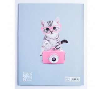 Album de Fotos Gato Tabby