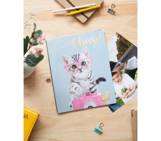 Album de Fotos Gato Tabby