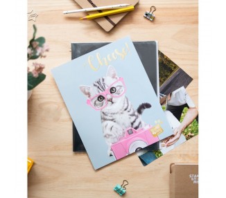 Album de Fotos Gato Tabby