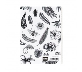 Album de Fotos Tropical