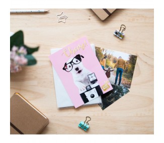 Album de Fotos Perro Charlie