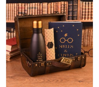 Baul Hogwarts Harry Potter