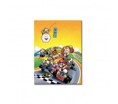 Cuadro Super Mario Kart 30 X 40