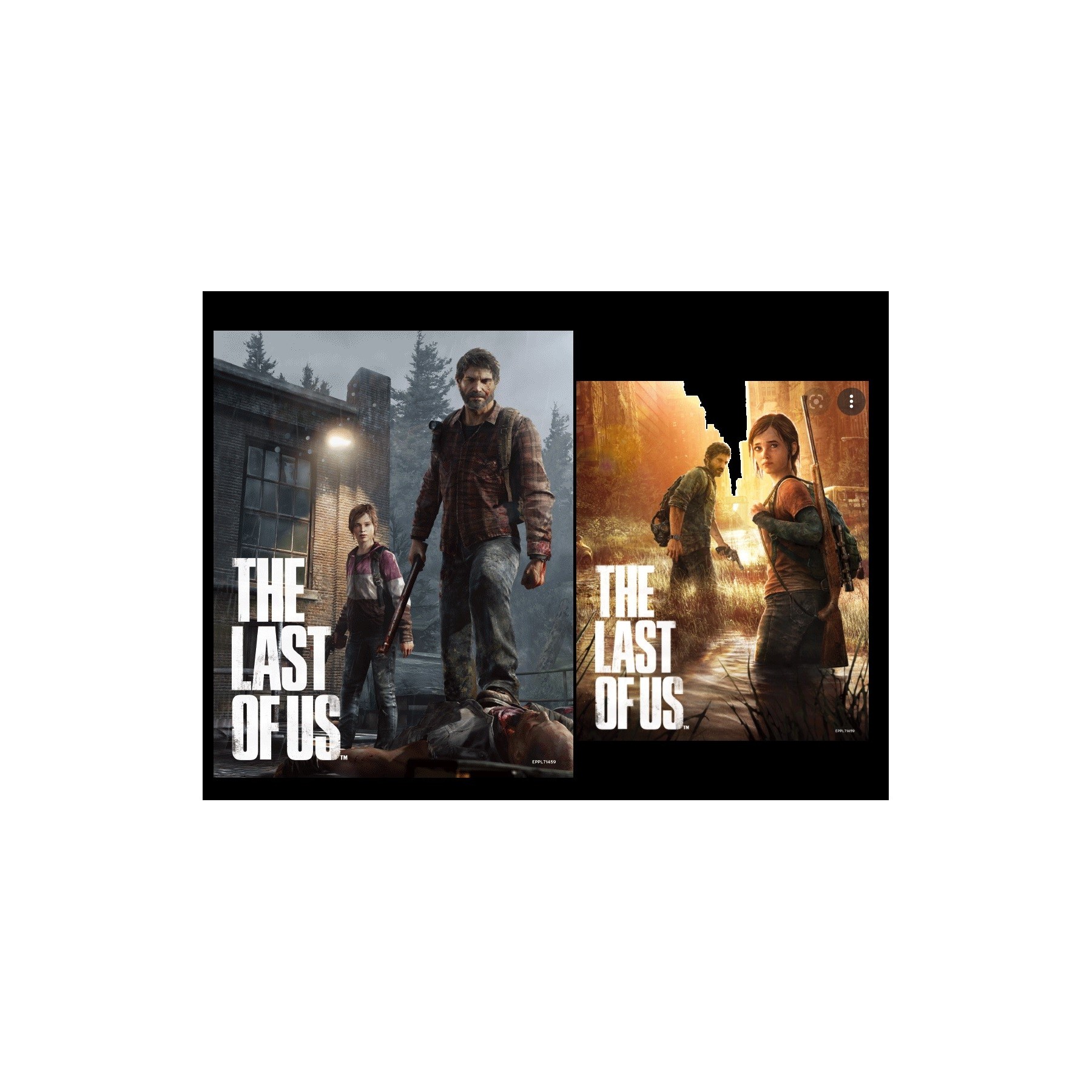 Poster 3D The Last Of Us