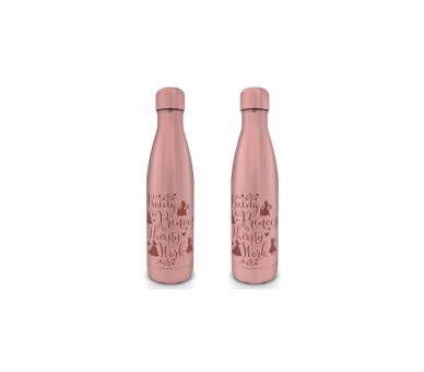 Pyr - Botella Metálica Princesas Thirsty Work